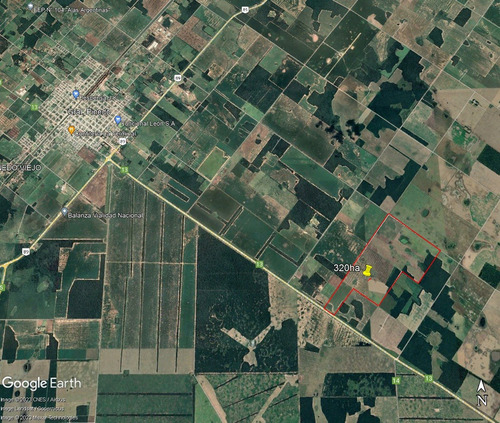 Imagen 4 de 4 de Imperdible !! Campo Agricola Chaco Gral Pinedo Acceso Por Ruta. Alquiler Fijo, Negociable