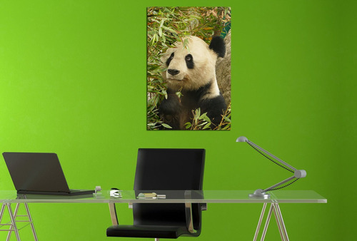 Vinilo Decorativo 20x30cm Oso Panda Natura Deco M11