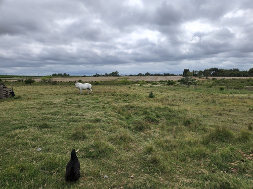 Campo Sobre Ruta