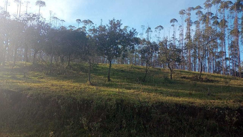 Imagem 6 de 14 de V20- Lotes Apenas 15 Minutos Do Centro Em Aruja !!!!