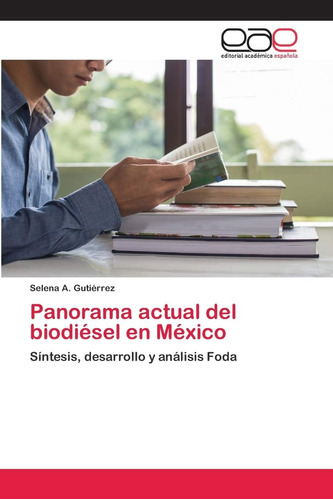 Libro: Panorama Actual Del Biodiésel En México: Síntesis, De