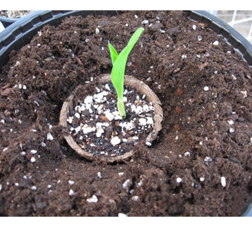Para Vasos De Agua Para Plantas Y Vivero, Turba, 100