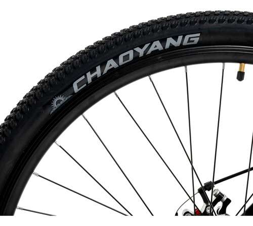 Bicicleta Randers R29 Aluminio 21v Shimano Montaña Kw Verde