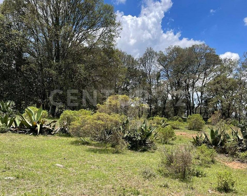 Terreno En Venta En San Lorenzo Nenamicoyan, Jilotepec, Mex.