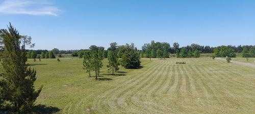 Pinares - Departamento Con Vista A La Laguna De 3 Ambientes A Estrenar - Parrilla Y Cochera