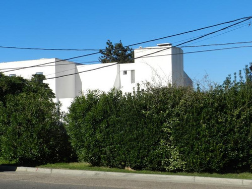 2 Lotes Para Locales