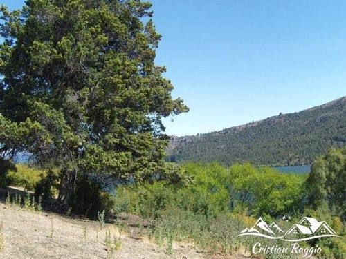 Imagen 27 de 30 de Terrenos De 1/2 Ha C/75 M Costa Lago Pellegrini Sobra Ruta En Cholila