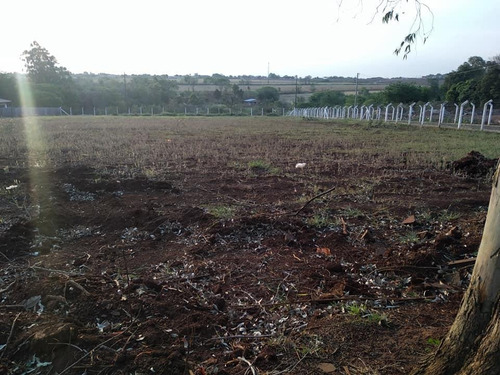 Imagem 4 de 4 de Te0018-terreno Na Região Do Lote Grande Em Foz Do Iguaçu-pr - Te0018