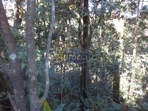 Imagem 28 de 29 de Chácara Para Venda No Parque Botujuru - Sbc - 8406