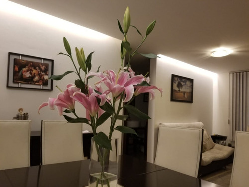 Slimled, Lámpara Led, Luminario Led, Tubo Led, 1.20mt L 12w