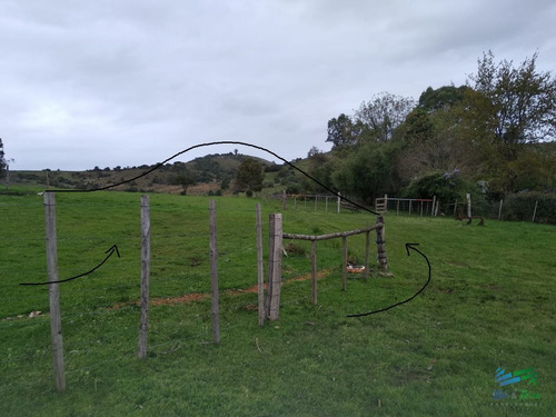 Imagen 14 de 30 de Vendo Excelente Chacra De 39 Hectáreas Para Granja Turística O Tambo, Aigua, Punta Del Este - Aiguá Aiguá