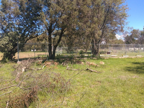 Imagen 5 de 14 de Venta Terreno Urbanizado Apizaco Calpulalpan Y Tlaxcala Cerc