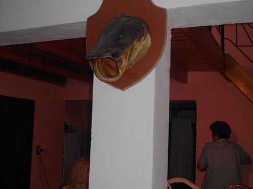 Imagen 14 de 14 de Vendo Chalet 2 Pisos Climatizado En Todos Los Ambientes