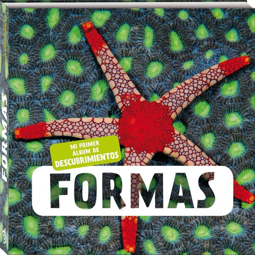 Libro: Formas. Vv.aa.. Andana