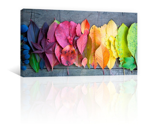 Cuadro Decorativo Naturaleza Flores Canvas Hojas De Colores | Meses sin intereses Cuadro Decorativo Naturaleza Flores Canvas Hojas De Colores | Meses sin intereses