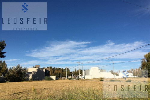 Imagen 6 de 7 de Venta Lotes B° Sauces Del Limay - Bejarano Al 2400