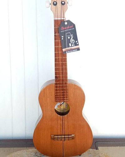 Imagen 3 de 3 de Ukelele Concierto