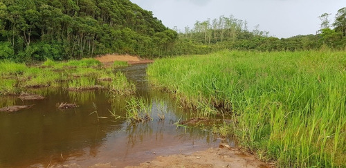 2terrenos Para Chacara Com Rio No Fundo.