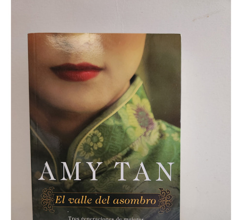 Libro El Valle Del Asombro Amy Tan