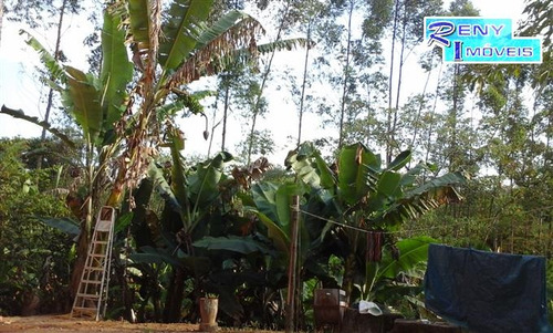 Imagem 18 de 27 de Sítios À Venda Em Itu/sp - Compre O Seu Sítios Aqui! - 1314413