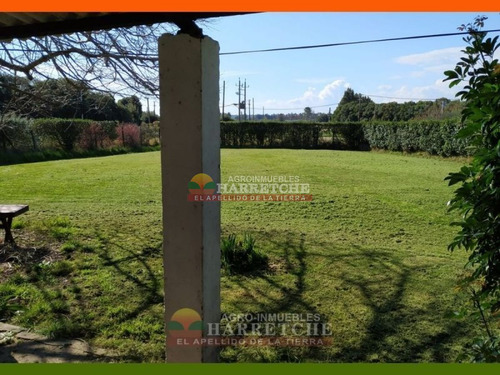 Imagen 15 de 29 de Chacra En Venta Melilla 3 Has
