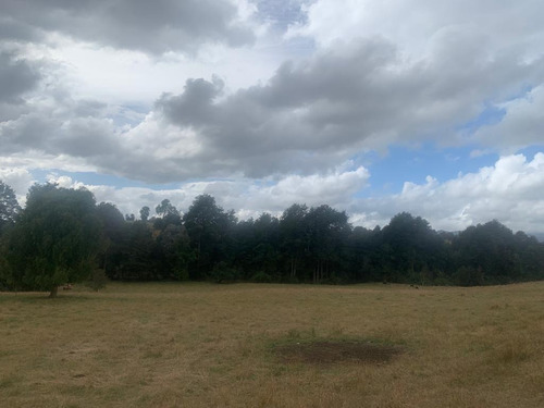 Campo En Ticahue - 57 Ha Ganadero