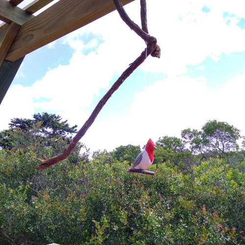 Turístico Cabaña En Alq. Temporario En San Antonio, Rocha, Uruguay