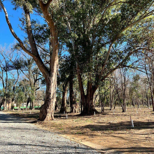 Hermoso Lote De 440 M2 /tortuguitas/en Promocion