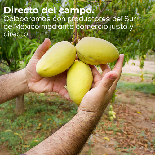 Caja Mango Liofilizado Snack Saludable 10 Piezas