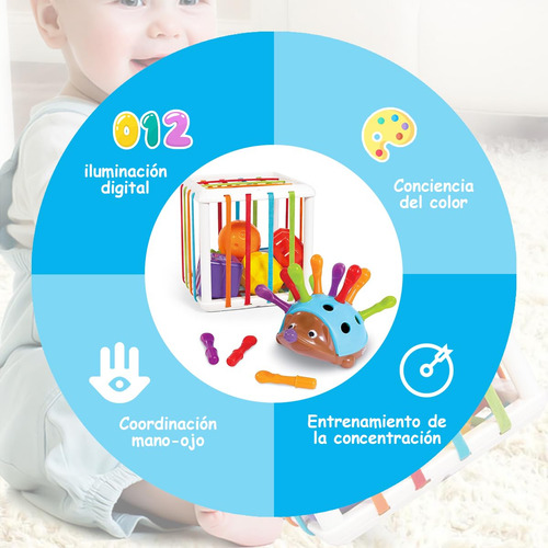Juguetes Sensoriales Para Niños, Clasificador De Formas Y