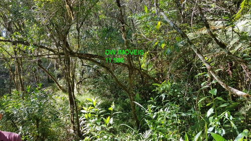 Imagem 11 de 19 de Juquitiba/terreno Com Mata E Nascente. - 05000 - 68089597