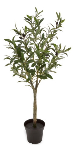 Planta Comprar Olivos Baratos