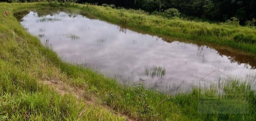 Fazenda À Venda, 65 Alqueires Por R$ 3.000.000 - Sítio Rural - São Sebastião Do Paraíso/mg - Fa0012