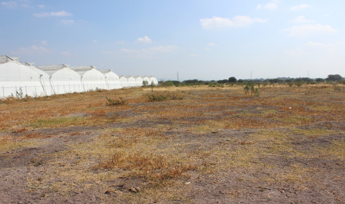 Terreno En Venta En Pedro Escobedo