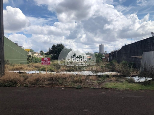 Imagem 2 de 3 de Terreno À Venda, Country - Cascavel/pr - 12017