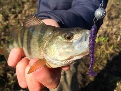 Xblack Juego Señuelo Pesca Suave Para Cebo Blando Color