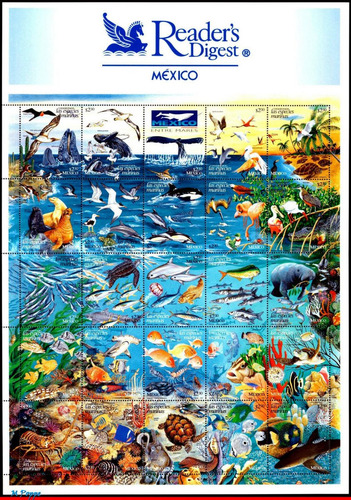 Imagen 1 de 1 de Mexico 1998 : Conservemos Fauna Marina , Peces , Tortuga