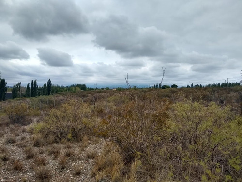 Terreno Lote  En Venta Ubicado En San Rafael,  Mendoza