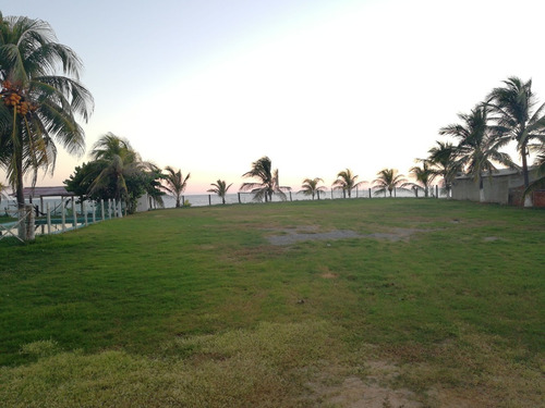 Imagen 3 de 14 de Vendo Terreno En Acapulco Pie De La Cuesta Frente De Playa