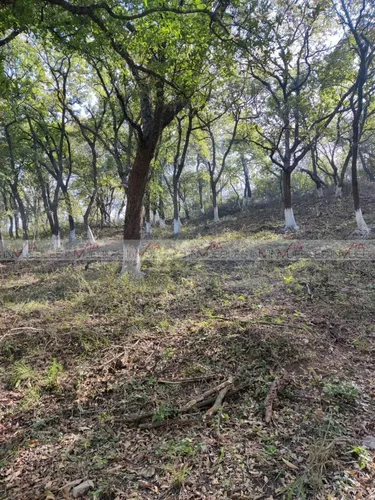 Campestre El Barro