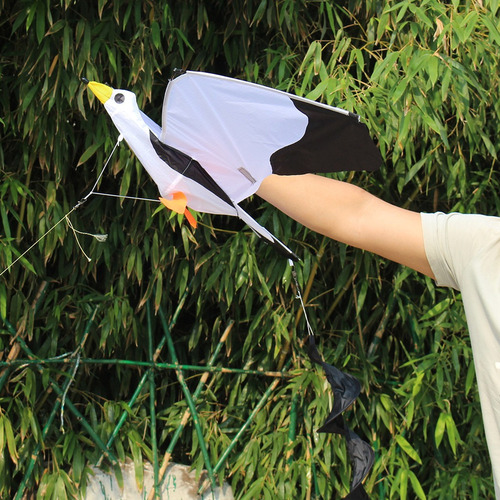 Hermosa De Gaviota En 3d Para Niños Y Adultos, De C
