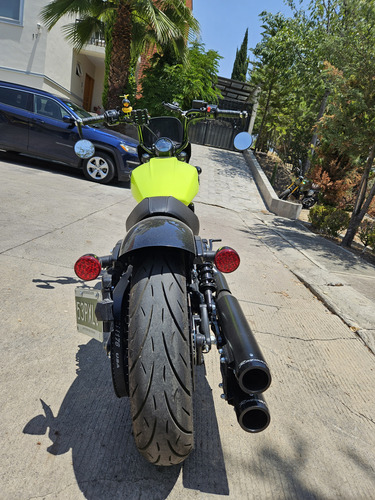 Indian Scout Rogue