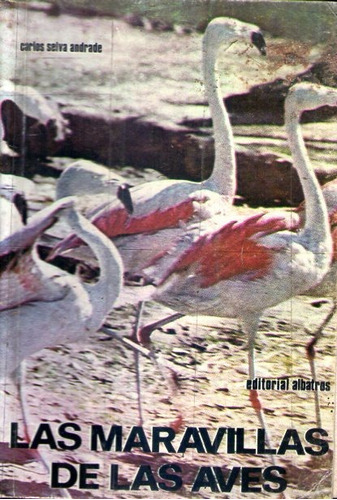 Las Maravillas De Las Aves Carlos Selva Andrade