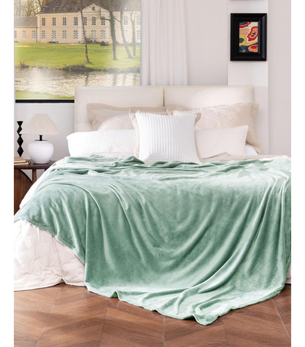 Frazada Manta Plush Flannel 240 X 190cm Térmica Ultra A Soft Verde Pastel Liso