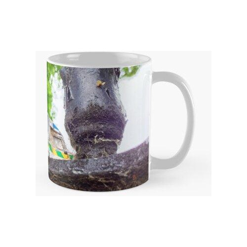 Taza Ambulancia De Juguete Calidad Premium