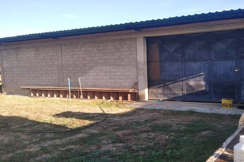 Imagen 2 de 10 de Fp Asein1608 Vende Excelente Finca De 12 Hectáreas En Montalbán Estado Carabobo