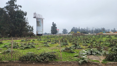 Industrial En Venta En Casablanca