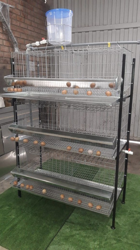 Jaula 3 Pisos Para Gallina Ponedora