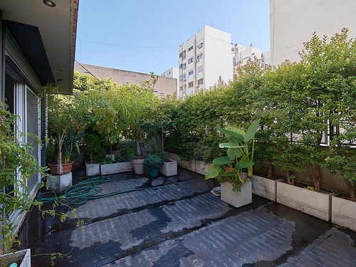 Imagen 6 de 30 de Casa 9 Ambientes Impecable Luminosa Terraza Jardin Con Cochera En Recoleta