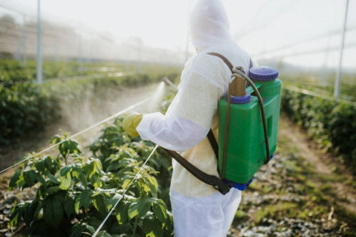 Insecticida Biológico Plagas Del Suelo Larbiol2x 1 Litro